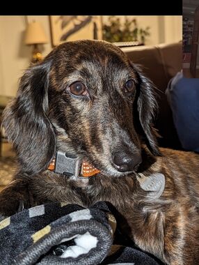 Buy My Mom's Stuff So She Can Buy Me More Stuff ❣️ I Don't Have Enough Toys!